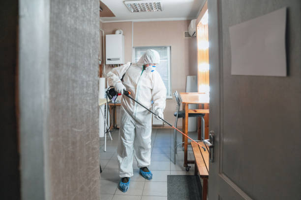 Best Mold Prevention Services  in Lapwai, ID